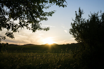 Sunset on meadow with hills and tree. Slovakia