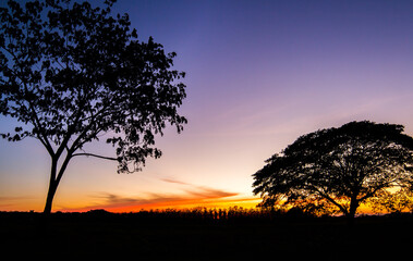 colorful dramatic sky with cloud at sunset
