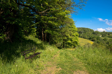 Platz im Grünen