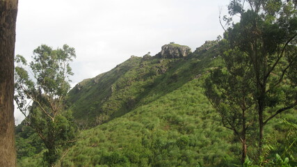 bandipur forest ooty road 