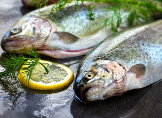 Raw trout with herbs on a board