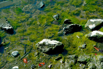 A day in the summer day and night