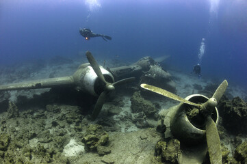 Diving on a airplane wreck