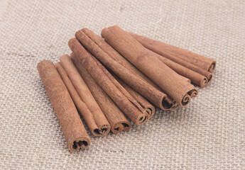 Cinnamon dry on canvas