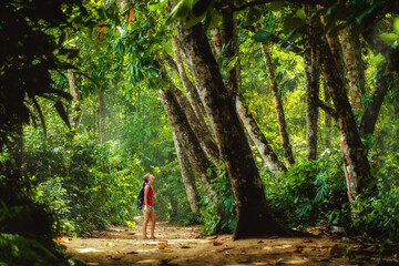 Young lady standing under big trees on the pathway at the tropical forest
