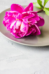 Summer floral concept with peonies
