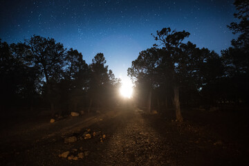 Fototapeta premium Moon rises in the park, stones on the foreground