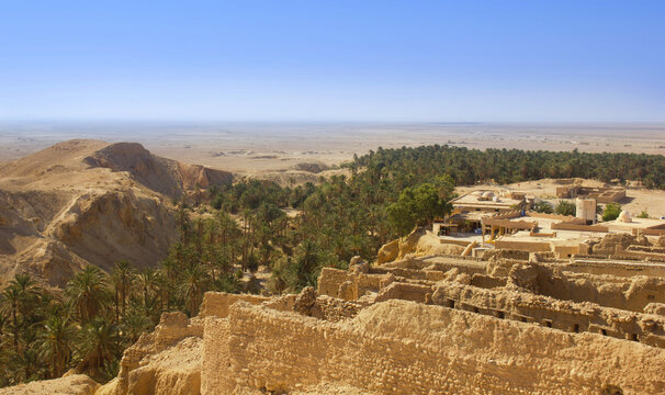 An oasis in the Sahara desert.