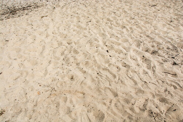 Sand texture