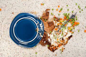 Spilled plate of food on carpet