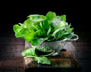 Spinach. Fresh organic spinach leaves in metal colander on a wooden table. Vegan food, healthy...