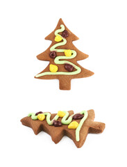 Christmas tree shaped cookie isolated
