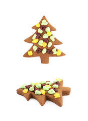 Christmas tree shaped cookie isolated