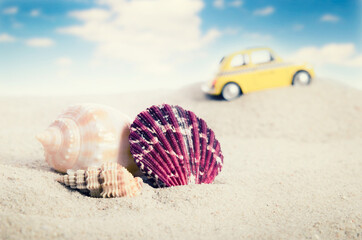 Shell on sand with yellow car in background.