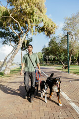 Dogwalker with Dogs in Park
