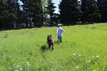 enfant qui cours avec un chien cane corso