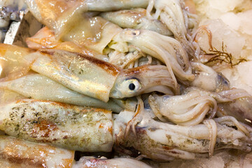 Sea fish on market stalls