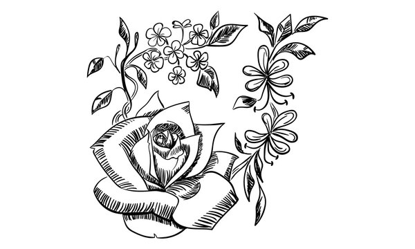 Sketched Floral Motif Lineart 