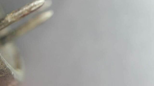 Close up of an old electric valve 
