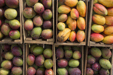 
Mango, delicious fruit