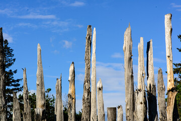 Weathered vertical log fence