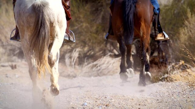 Horse riding in the desert of namibia
