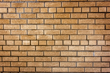 Brown Brick Wall with Copy Space