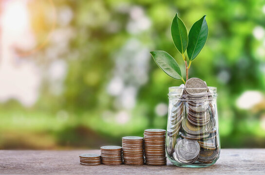 Plant growing Coins in glass  jar with investment financial concept  stack money and green nature sunshine background