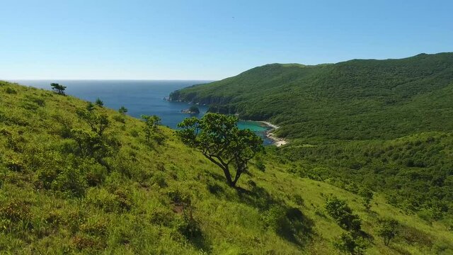 Dynamic Fast flight drift to Bay of Languishing Heart. Far East Marine Biosphere Reserve Primorsky Krai Vladivostok Russia. Unique National park Japan Sea ocean. Aerial Helicopter Drone flight. 4k