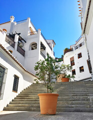 Fototapeta na wymiar White houses of Frigiliana, Andalusia