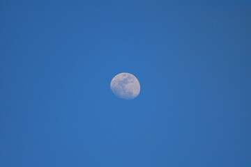 Moon