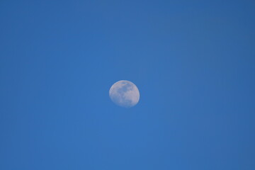 Moon