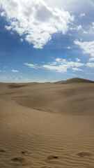 Obraz na płótnie Canvas Wüste