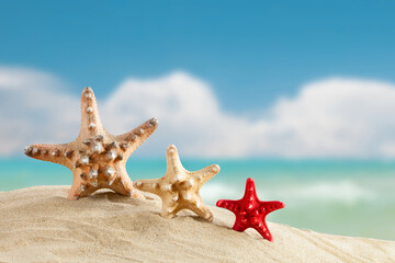 Fototapeta na wymiar Starfish standing on the sea background . Suitable as a card.