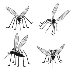 Set of mosquito silhouettes isolated on white background. Vector 