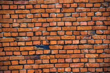 Fototapeta premium red bricks wall