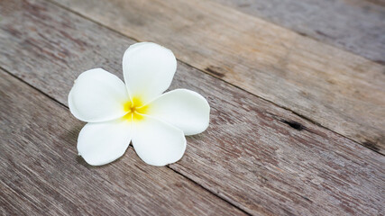 Obraz na płótnie Canvas Plumeria flower on a wooden background.