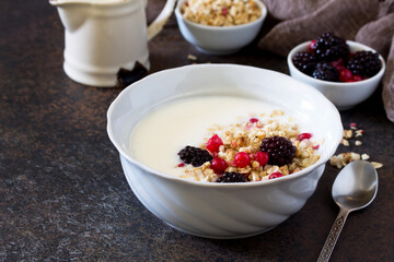 Granola. Homemade yoghurt with granola, currant and black raspberries. Copy space.