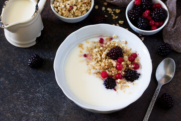 Granola. Homemade yoghurt with granola, currant and black raspberries. Copy space.