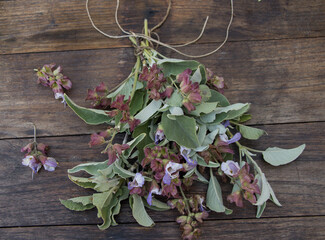 Gesammelter Salbei zum trocknen