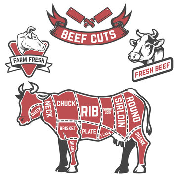 Cow Cuts Butcher Diagram. Design Element For Poster, Menu. Vector Illustration