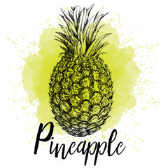 Vector illustration of pineapple in hand drawn graphics. The fruit is depicted on a yellow watercolor background. Design for packaging juice or dessert