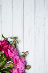 White and pink peonies on a white wooden background, top view
