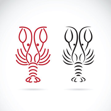 Vector of lobster shrimp design on white background, Aquatic animals.