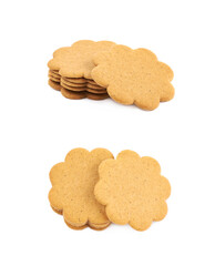 Pile of multiple gingerbread cookies