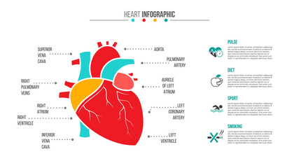 Vector medical and healthcare infographic.