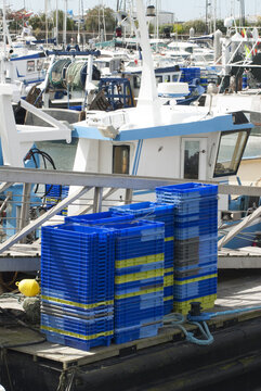 Caseyeur et ses casiers bleus