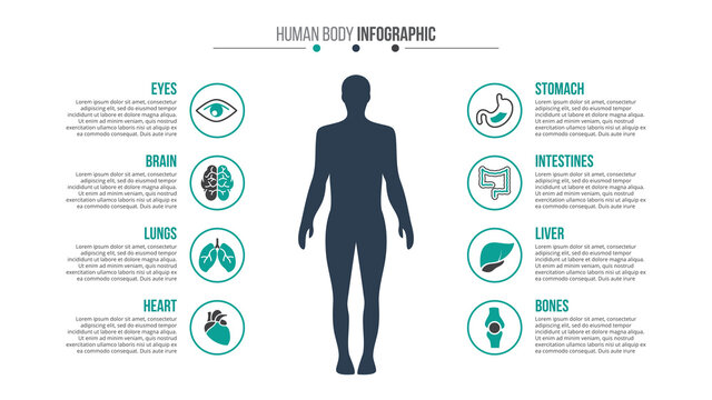 Vector medical and healthcare infographic.
