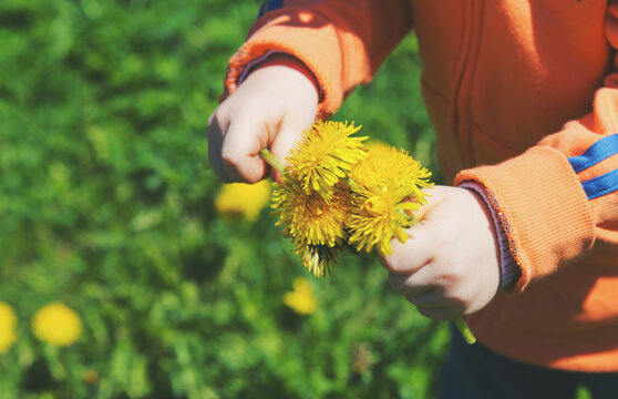 Child's hand holds a yellow flower. Instagram