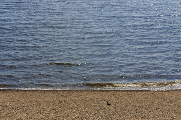 Beach with pebbles